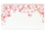 四季の懐紙　桜並木　１帖